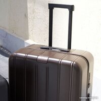 Ninetygo Touch Luggage 28" (коричневый) Image #5