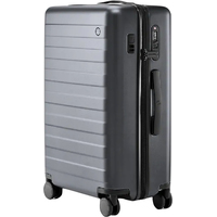 Ninetygo Rhine PRO plus Luggage 20'' (серый) Image #1