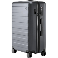 Ninetygo Rhine PRO plus Luggage 20'' (серый)
