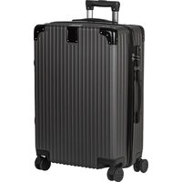 Supra Luggage STS-1003-M (gray whale)