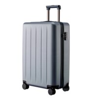 Ninetygo Danube Luggage 24" (серый) Image #1