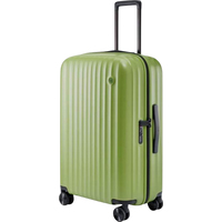 Ninetygo Elbe Luggage 24'' (светло-зеленый)