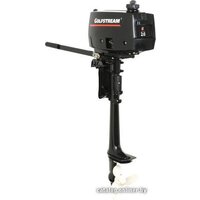 Golfstream (Parsun) T2.6 CBMS