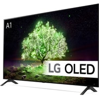 LG OLED48A1RLA Image #2