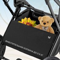 Sweet Baby Ricci Air 2в1 (черный) Image #5