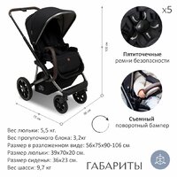 Sweet Baby Ricci 2 в 1 (черный) Image #30