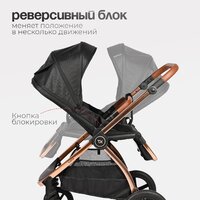Tomix Walker Lux 3 в 1 / BD101TRIPLLUX (Black/Rose Gold) Image #14