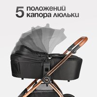 Tomix Walker Lux 3 в 1 / BD101TRIPLLUX (Black/Rose Gold) Image #9