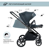 Sweet Baby Elegante (Chrome Blue) Image #5
