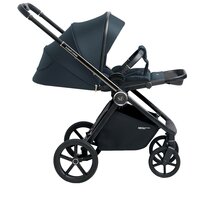 Sweet Baby Elegante (Chrome Blue) Image #18
