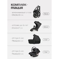 Tomix Walker 3 в 1 / BD101TRIPL (Black) Image #18