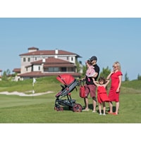 Lorelli Lora 2021 (2 в 1, luxe red elephants) Image #24