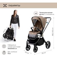 Sweet Baby Elegante GL (коричневый) Image #4