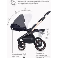 Rant MOWbaby Zoom PU (2 в 1, gold black) Image #19
