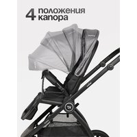 Tomix Walker 3 в 1 / BD101TRIPL (Grey) Image #5