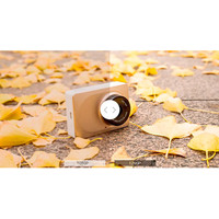 YI Smart Dash Camera (золотистый) Image #8