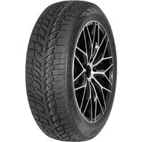 Snow Chaser 2 AW08 235/35R19 91H