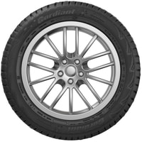 Cordiant Snow Cross 225/55R18 102T (шипы) Image #3