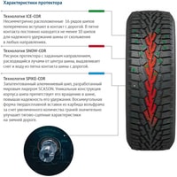 Cordiant Snow Cross 225/55R18 102T (шипы) Image #4