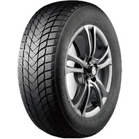 Winter Lander 155/65R14 75T