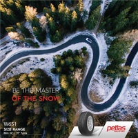 Petlas SnowMaster W651 195/45R16 84H Image #6