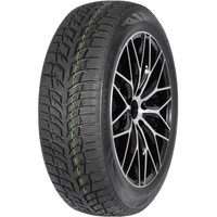 Snow Chaser 2 AW08 175/65R14 82T