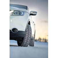 Ikon Nordman 7 SUV 285/60R18 116T (шипы) Image #4