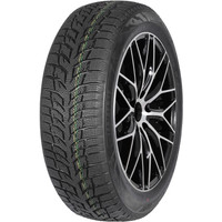Snow Chaser 2 AW08 205/60R16 96H