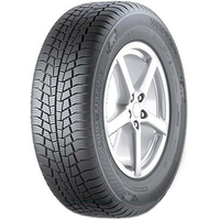 Gislaved Euro*Frost 6 205/55R16 91H Image #1