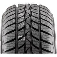 Hankook Winter i*Cept RS W442 205/70R15 96T Image #4