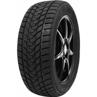 Delinte Winter WD1 185/65R14 86T