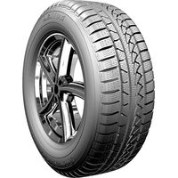 SnowMaster W651 205/45R17 88H