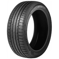 DS7 Sport 205/40R17 84Y