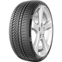 Snowmaster 2 Sport 205/50R17 93V