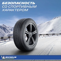 Michelin Pilot Alpin 4 285/35R20 104V Image #8