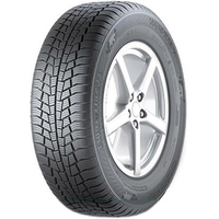 Gislaved Euro*Frost 6 195/65R15 91T Image #1