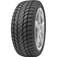 Delinte Winter WD6 215/50R17 95H