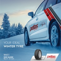 Petlas SnowMaster W651 235/45R18 98V Image #5