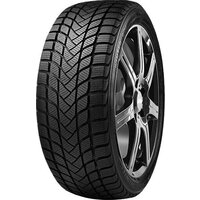 Delinte Winter WD6 155/80R13 79T Image #1