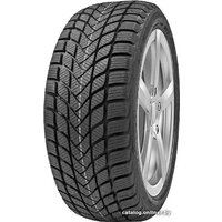 Delinte Winter WD6 175/70R14 88T