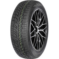 Autogreen Snow Chaser 2 AW08 215/65R16 102H