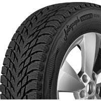 Ikon Autograph Snow 3 SUV 275/50R20 113R Image #5