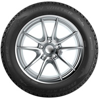 Tigar SUV Winter 235/55R19 105V Image #3