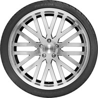 Yokohama Parada Spec-X PA02 295/35R24 110V Image #3