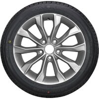 Royal Black Royal Winter 265/45R21 108V XL Image #3