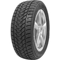 Delinte Winter WD1 225/55R17 97T