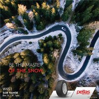 Petlas SnowMaster W651 235/50R19 103V Image #6