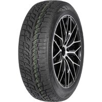 Snow Chaser 2 AW08 195/60R15 88T