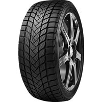 Winter WD6 225/50R17 98T