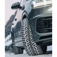 Nokian Tyres WR SUV 4 215/55R18 95H Image #4